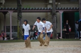 体育祭